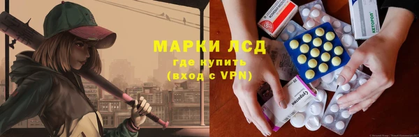 гашик Алексин
