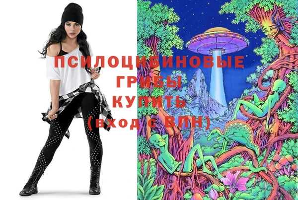 бошки Алексеевка