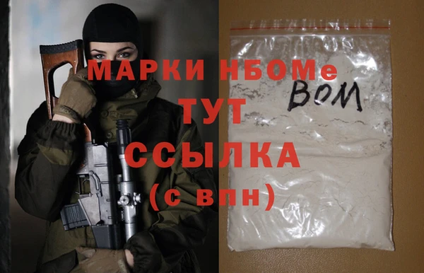 гашик Алексин