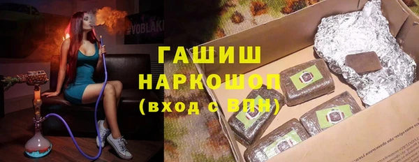 гашик Алексин