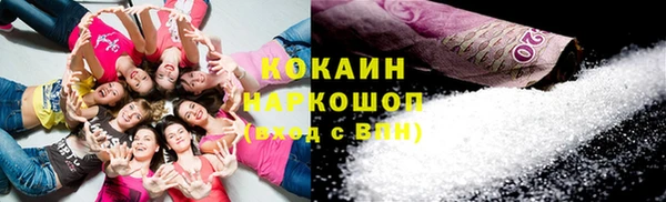 гашик Алексин