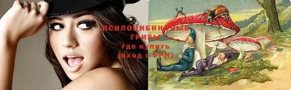 мяу мяу мука Алзамай